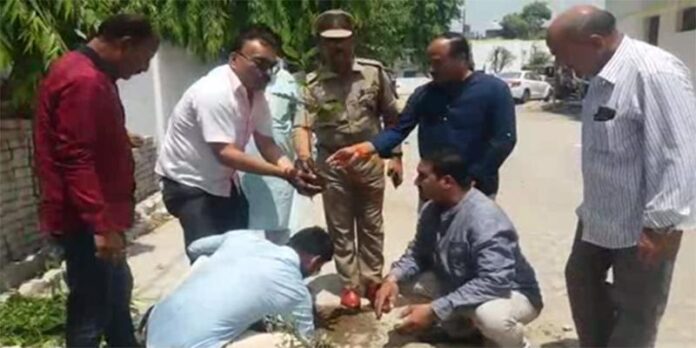 Tree अधिकारियों ने कोतवाली में किया पौधारोपण-फ़ोटो ग्लोबलटुडे