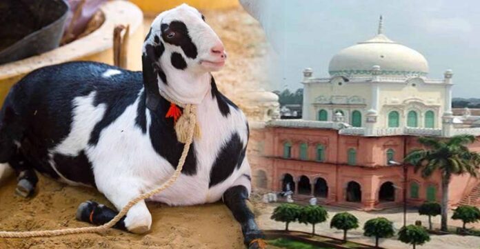 क़ुरबानी मज़हब इस्लाम में एक इबादत है, नहीं है इसका कोई बदल