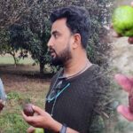 काला अमरुद और उसके फ़ायदे
