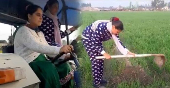 किसान गए धरने पर, फसलें बचाने में जुटी हैं महिलाएं