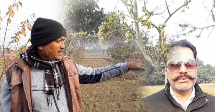 कृषि क़ानून से परेशान किसान छोड़ रहे पारंपरिक फ़सलें