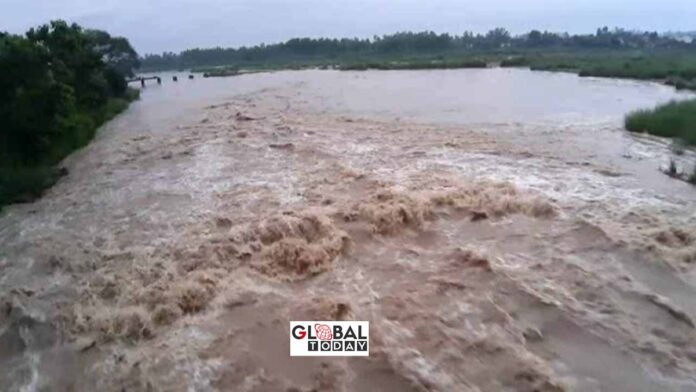कोसी नदी में पहाड़ से छोड़ा गया बड़ी मात्रा में पानी, रामपुर में बाढ़ का खतरा बढ़ा