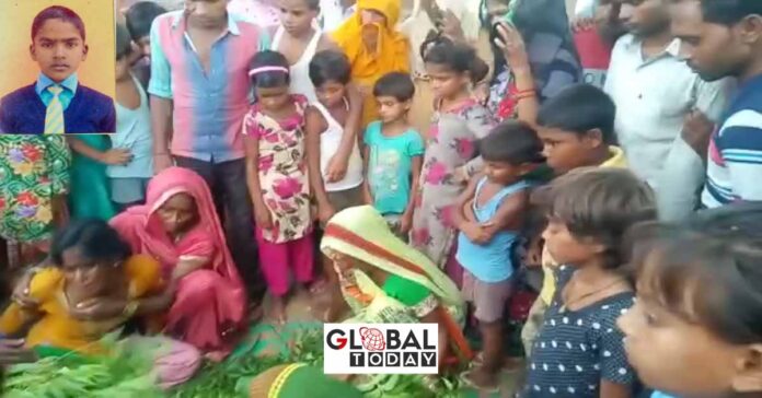 सर्पदंश से किशोर की हुई मौत, परिवार में मचा कोहराम