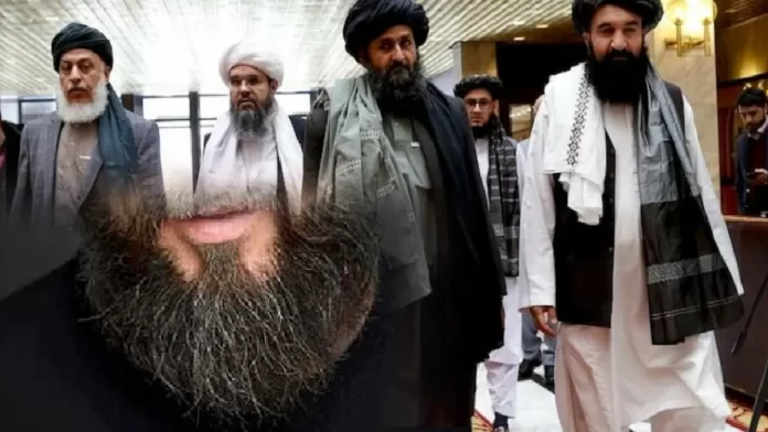 taliban news