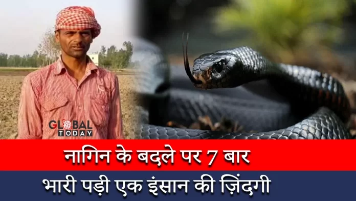 नागिन के बदले पर 7 बार भारी पड़ी एक इंसान की ज़िंदगी