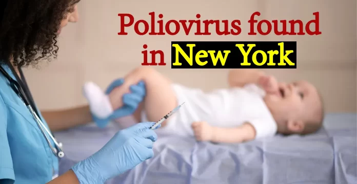 Polio न्यूयॉर्क में पोलियो वायरस मिलने के बाद आपदा आपातकाल लागू किया