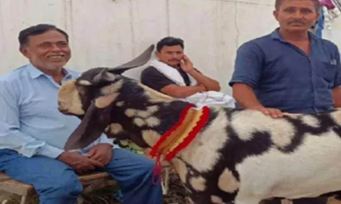 वाराणसी मंडी में 'अल्लाह' और 'मोहम्मद' की खासियत देख दंग रह गए लोग