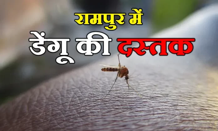 रामपुर में डेंगू की दस्तक