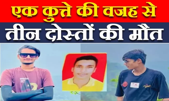 कुत्ते की वजह स्कूटी सवार तीन दोस्तों की हुई मौत