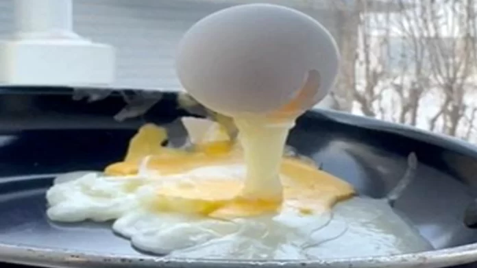 melted egg कनाडा में खून जमा देने वाली ठंड, फ्राइंग पैन में अंडा तलने से पहले ही जम गया