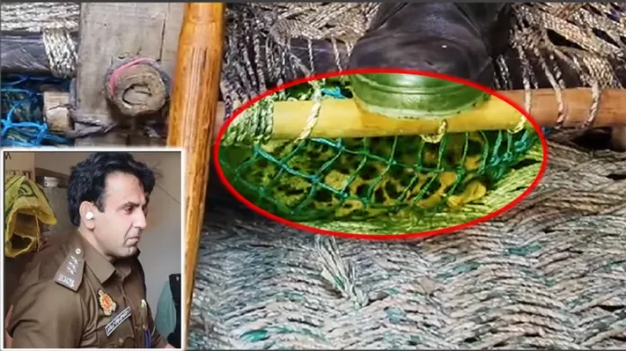 leopard घर में घुसा तेंदुआ, लोगों ने कमरे में बंद होकर बचाई जान