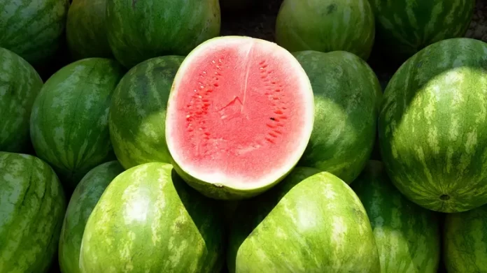 Water Melon तरबूज़ के ये हैरतअंगेज़ फ़ायदे