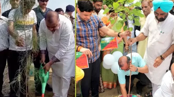 वृहद वृक्षारोपण कार्यक्रम में जिलेभर में 27 लाख पौधे लगाए गए