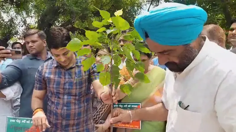 वृहद वृक्षारोपण कार्यक्रम में जिलेभर में 27 लाख पौधे लगाए गए