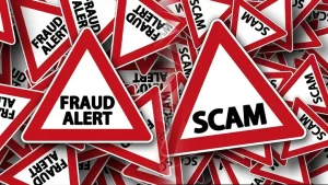 Kupwara Man Chargesheeted by Kashmir EOW in J&K Bank Job Scam 5 Kashmir: Job Scam Unearthed In Kupwara, Investigations Underway: Police