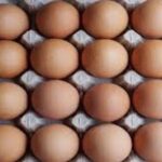 Bird flu outbreak drives up egg price to record high in U.S.