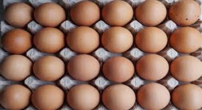 Bird flu outbreak drives up egg price to record high in U.S.