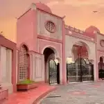 JMI launched new undergraduate programs in German and Japanese Studies