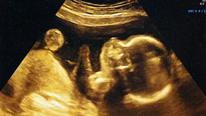 Fertility news A revolution in infertility treatment: Chinese scientists create a 'mini-worm on a chip'