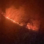 Fire Breaks Out in Naloosa Forest Area of Boniyar; Locals Allege Arson