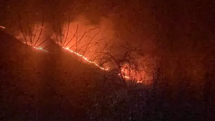Fire Breaks Out in Naloosa Forest Area of Boniyar; Locals Allege Arson