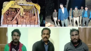 uttar-pradesh/rampur-forest-department-seizes-500-quintal-khair-wood-smuggling-bust
