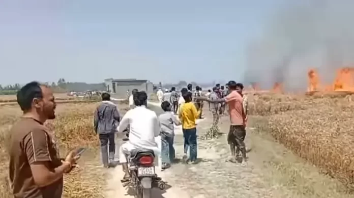 Fire burn the crop in rampur Rampur: Wheat Crop Reduced to Ashes by Fire; District Panchayat Member Mustafa Hussain Demands Compensation