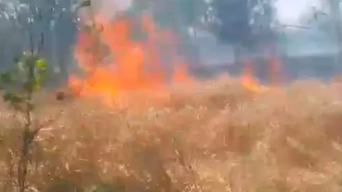Massive Fire in Wheat Crop in Mirganj