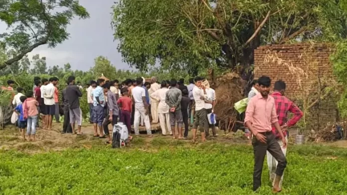 budaun-news-woman-died-as-tree-fell-on-tubewell-room