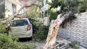 rampur-weather-update-storm-and-power-cut