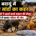 Badaun Stray Bull Attack