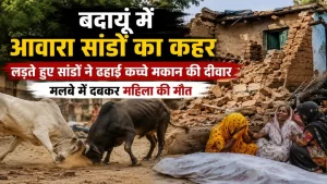 Badaun Stray Bull Attack