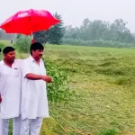 भारी बारिश से किसानों की धान की फसल को भारी नुकसान, सरकार तत्काल दे मुआवजा: मुस्तफा हुसैन 1 rampur-paddy-crop-damaged-due-to-heavy-rain-mustafa-hussain-demands-compensation