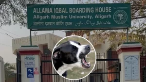 AMU: MM Hall के बाहर छात्र को कुत्ते ने काटा, हालत गंभीर 7 mm-hall-reading-room-student-dog-bite-allama-iqbal-hostel