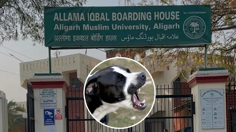 mm-hall-reading-room-student-dog-bite-allama-iqbal-hostel