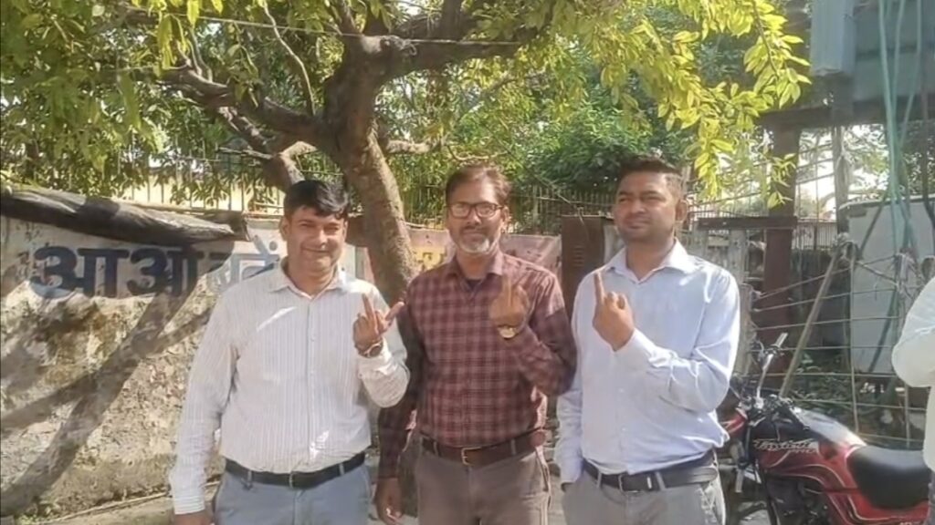 MLC elections